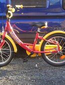 NEUES KINDERRAD-DELPHIN in 34134