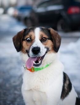 menschenbezogene Bim - Augsburg