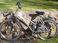 21-Gang Trekking Unisex Fahrrad 26 Zoll, Mckenzie - Halle (Saale)