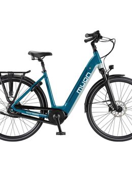 E-Bike/Pedelec Muon Strive harmony 65Nm 655Wh - Wassenberg