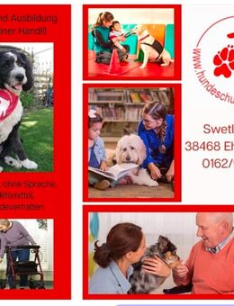 Therapiehund Ausbildung - Ehra-Lessien