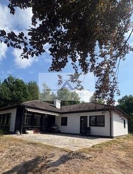 Komplett renoviertes Haus sucht glückliche Familien mit großem Garten in Röttenbach direkt am Wald - Röttenbach (Landkreis Erlangen-Höchstadt)