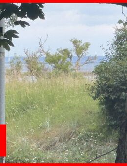 Ferienhaus in erster Reihe zur Ostsee - Lübeck