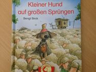 Lesepiraten. Kleiner Hund auf großen Sprüngen - Bengt Birck - Villingen-Schwenningen