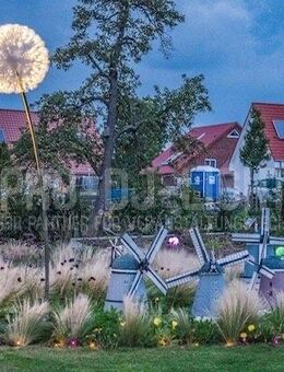 XXL Pusteblumen mieten | Großdekoration mieten | XXL Deko - Wismar