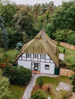 Schmuckstück unter Reet mit Baugrundstück - Wohnen im Einklang mit der Natur - Neetze