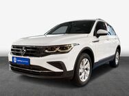 VW Tiguan, 2.0 l TDI Life Weiß, Jahr 2021 - Rendsburg