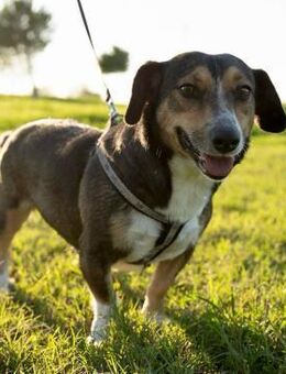 Kuschelmaus Lela - Hückelhoven