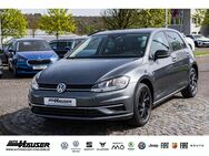 VW Golf, 2.0 TDI VII IQ DRIVE PARK LANE, Jahr 2019 - Pohlheim