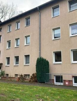 Hier zieh ich ein, so soll es sein! - Braunschweig