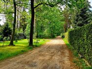 +++Naturliebhaber gesucht +++Romantisches Grundstück im Grünen, ruhige Lage in Wandlitz OT Stolzenhagen+++ - Wandlitz