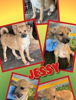 Süße Jessy wartet aufs Happyend! - Nürnberg