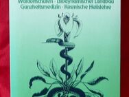 Die Anthroposophen - von Peter Brügge - Niederfischbach