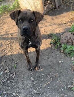 Greta - Mönchengladbach