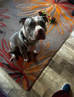 Bester Freund abzugeben in Verantwortung volle Hände. - Celle