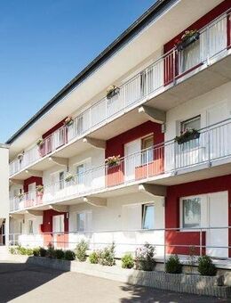1-Zimmer-Studentenappartement unmittelbar gegenüber der FH Fulda - Fulda