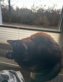 BKH - Waltrop Zentrum