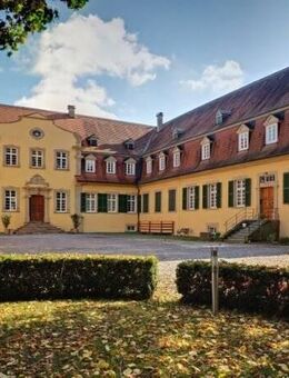1 Zimmer Apartment im Schloss Massenbach, ab 01.01.2026 oder später - Schwaigern