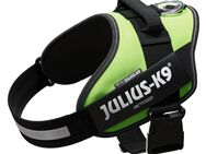 Julius-K9 IDC®-Powergeschirr - neon grün - Größe L: Brustumfang 63 - 85 cm