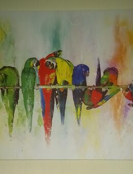 Papageien Wandbild Bild 77 cm x 57 cm Pro Art - Bad Neustadt (Saale)