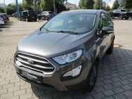 Ford EcoSport, 1.0 Ecoboost Trend, Jahr 2020 - Frankenthal (Pfalz)