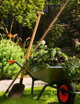 Gartenarbeit - Göttingen