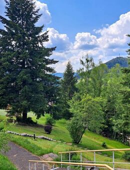 Einmaliges Appartement mit toller Schwarzwald-Aussicht in Baiersbronn mit Schwimmbad - Baiersbronn