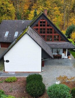 Wohnen mit Weitblick - charmante Dachgeschosswohnung mit Kamin und Galerie in Geesthacht - Geesthacht