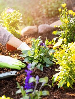 Für Gartenfreunde: sonnige 3-Zimmer-Wohnung mit Terrasse und großer Gartenfläche - Oppenweiler