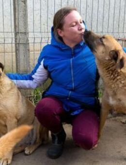 Molly - souveräne,entspannte Hundedame - Löwenberger Land