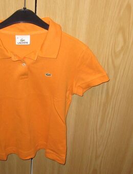 1 Stück Lacoste Damen-Poloshirt - Stolberg (Rheinland, Kupferstadt) Zentrum