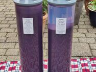 minionic zwei Säulen Vollentsalzer 10 Liter - Mönchengladbach