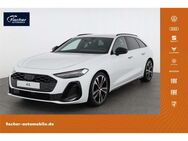 Audi A5, Avant TDI quattro, Jahr 2025 - Neumarkt (Oberpfalz)