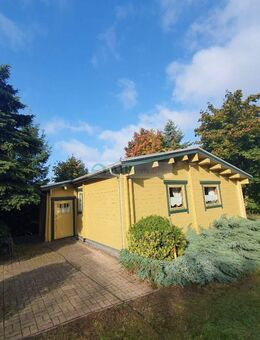 Dem Spielzeugdorf ganz nahe...Komplett eingerichtetes Ferienhaus im Kurort Seiffen - Seiffen (Erzgebirge)