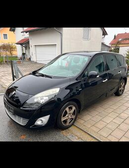 Renault Grand Scenic - Plattling