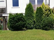 Statt Wohnung: Nettes Reihenhaus in Donauwörth/Parkstadt mit Garten - Donauwörth