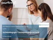 Sozialpädagogin / Sozialpädagoge (m/w/d) - Eberswalde