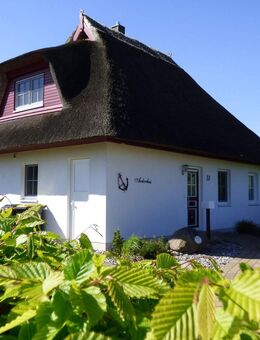 ERDWÄRME & KAMIN & SAUNA ...FERIENHAUS UNTER REET AM ACHTERWASSER - Zinnowitz