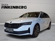 Skoda Octavia, 2.0 TDI Combi Sportline, Jahr 2024 - Verden (Aller)