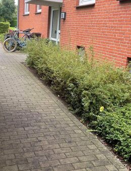 *Besonders-mit großzügiger Terrasse und in ruhiger Nachbarschaft* - Schleswig