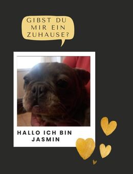 JASMIN PP Bestagerin sucht endlich Liebe - Neustadt (Rübenberge)
