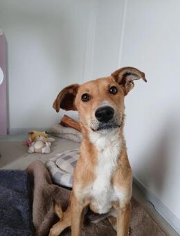 🌞 Freundliche Tania sucht Glück 🌞 - Eislingen (Fils)