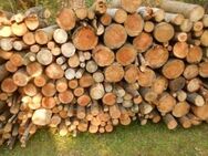 Holz Brennholz Ofenholz ungespalten gemischt ca. 3 - 4 Ster nur 55,- € je Ster! - Hösbach