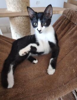 verspielte Pixel sucht neuen Spielplatz - Augsburg