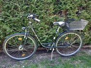 Damenfahrrad zu verkaufen - Dohna Zentrum