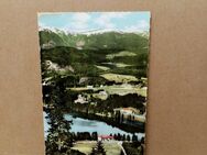 Postkarte C-444-Titisee im Schwarzwald. - Nörvenich