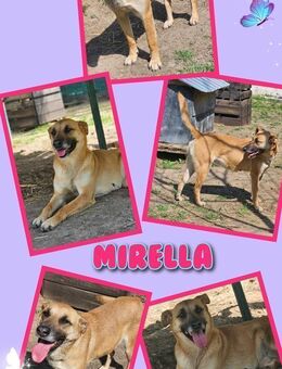 Liebe Mirella möchte gesehen werden! - Nürnberg