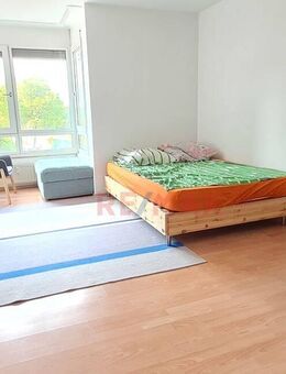 ***Möbliertes Appartement Nähe Uni*** - Mannheim