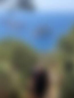 Wan*** - Halle (Saale)