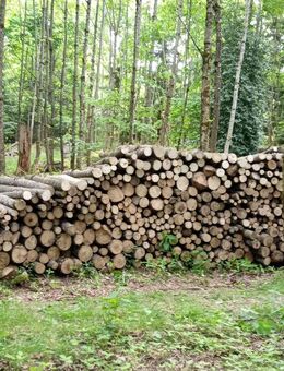 Brennholz - Gaggenau